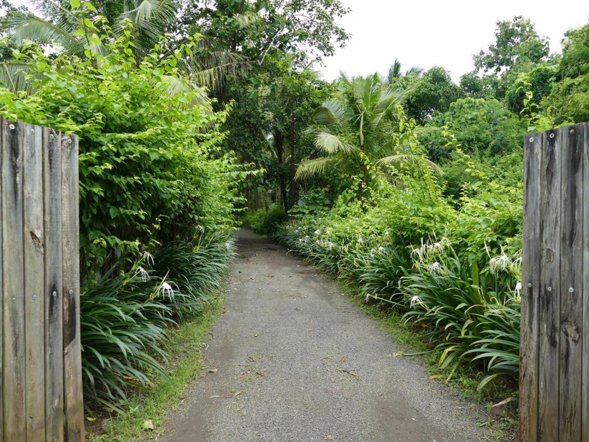 Mango Beach Villas Kihim Alibaug 외부 사진